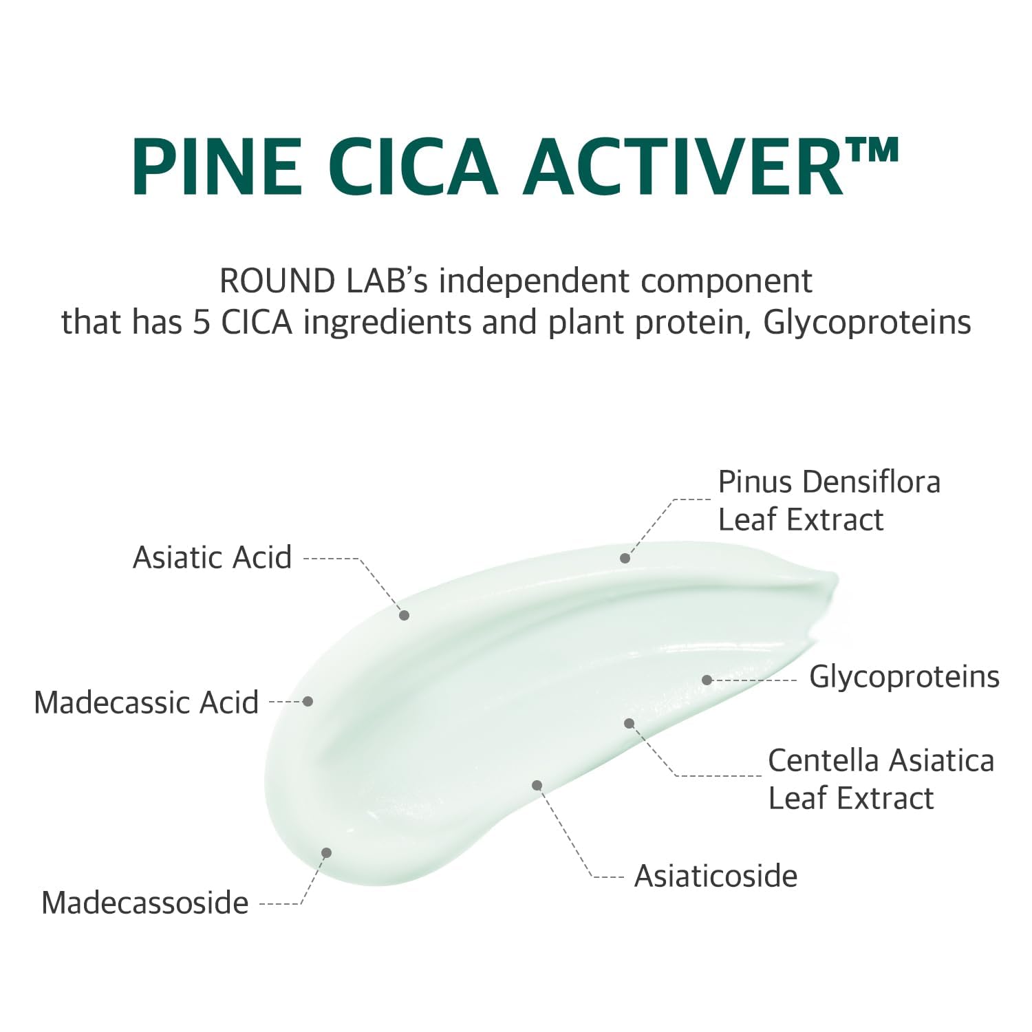 ROUND LAB Pine Calming Sunscreen 30ml - Image 6